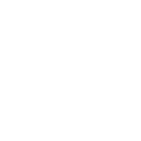 Vice